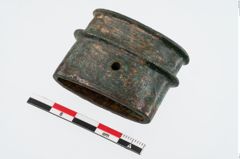 Foto von Bronzeortband (NHMW-PRAE-024490a2)